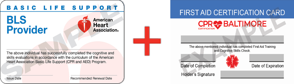 Sample CPR + First Aid Card