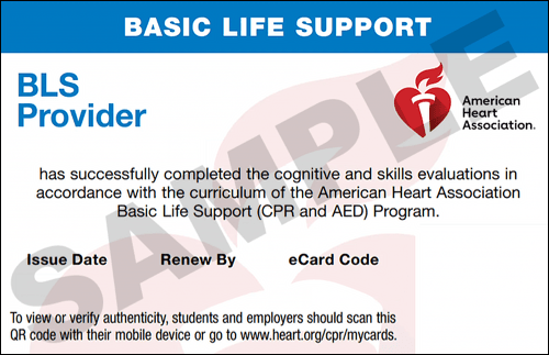Sample American Heart Association AHA BLS CPR Card Certification from CPR Certification Baltimore