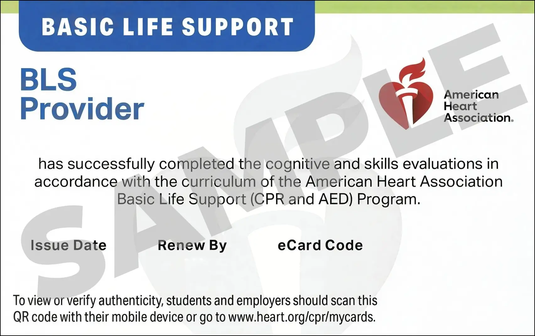 Sample American Heart Association AHA BLS CPR Card Certification from CPR Certification Baltimore